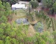 7006 E Highway 318, Citra image