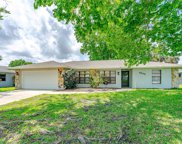 3208 Sabal Palm Drive, Edgewater image