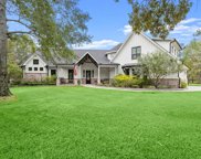 26007 Green Tree Street, Magnolia image