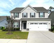 163 Coatbridge Drive, Blythewood image