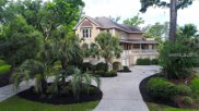 Hilton Head Island image