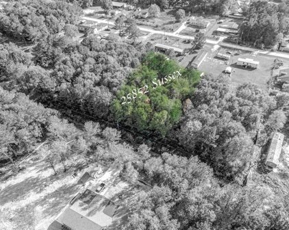 25852 Sussex, New Caney