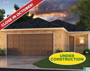 65 Jonathan Drive, Odenville image