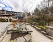 9857 Manchester Drive Unit 305, Burnaby image