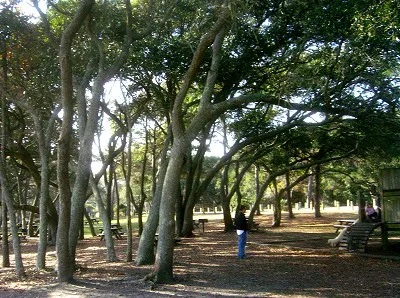 Segate Village in Myrtle Beach SC