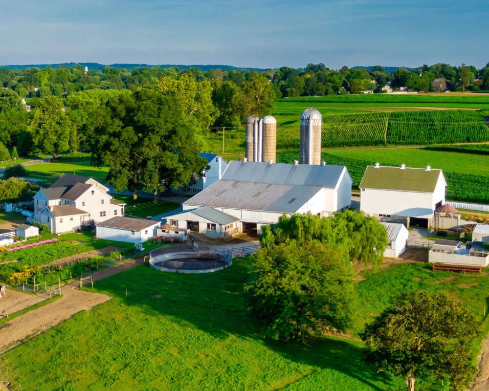 Farms Real Estate