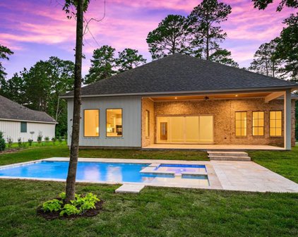 12126 S Tara Plantation Drive, Tomball
