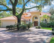 2506 Lake Ellen Drive, Tampa image