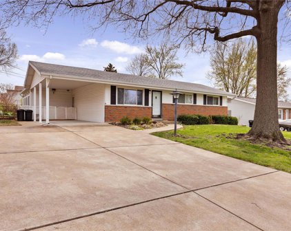 4434 Niagara  Drive, St Louis