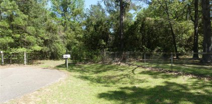 10994 Kittys Lane, Conroe