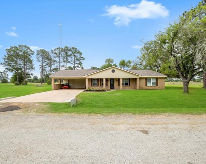 32033 Birdie dr Drive, Waller