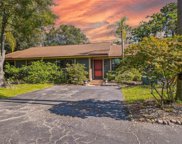 1007 Willow Pond Drive, Safety Harbor image