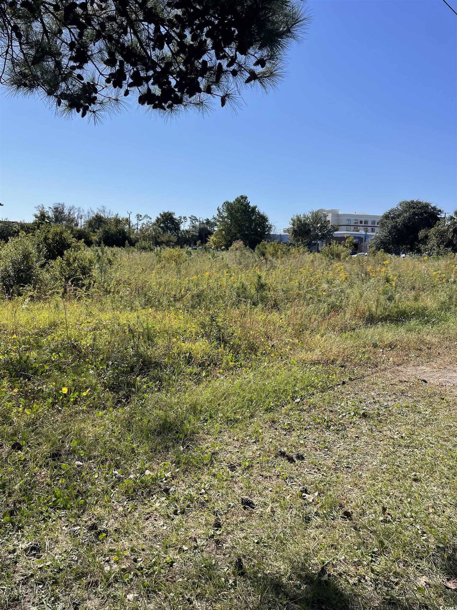 MLS 2423936 Not within a Subdivision TBD Old Highway 17 North, North