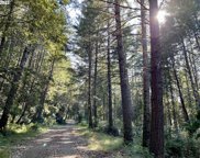 Lupine Way, Gold Beach image