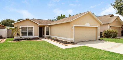 4721 Copper Canyon Boulevard, Valrico