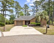 104 Holly Springs Ct., Conway image