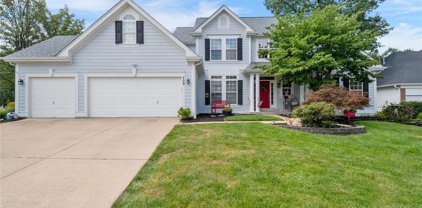 709 Wood Meadow  Circle, Ellisville