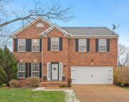 270 Canvasback Ct, Spring Hill image