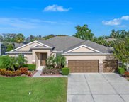424 Lone Heron Way, Winter Garden image