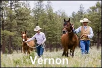 Vernon Homes for Sale