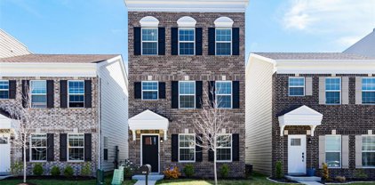 2116 Boardman  Street, St Louis
