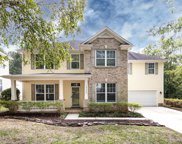 13520 Alston Forest  Drive, Huntersville image