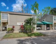 6925 Lake Place Court, Tampa image