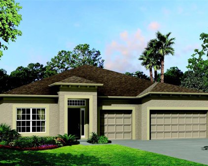 33127 Sycamore Leaf Drive, Wesley Chapel