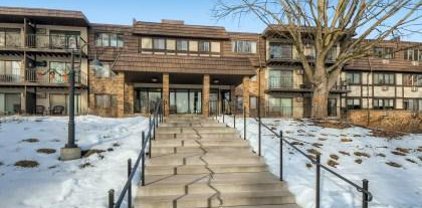 205 Barry Avenue S Unit #214, Wayzata