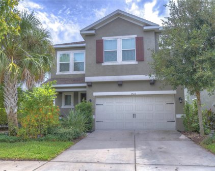 7513 Sea Lilly Court, Apollo Beach