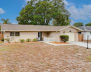 2517 Wynnewood Drive, Clearwater image