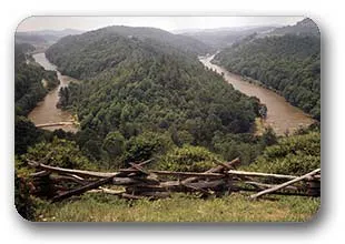 New River in Alleghany County North Carolina
