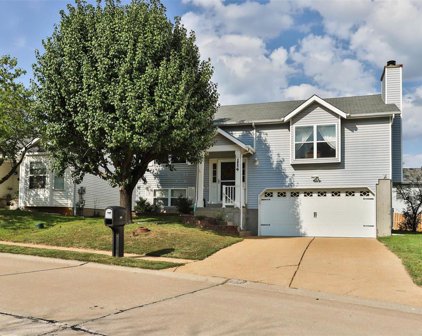 114 Kinross  Court, Valley Park