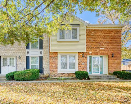 780 Coalport  Drive, St Louis