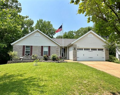 4539 Castlebar  Lane, High Ridge