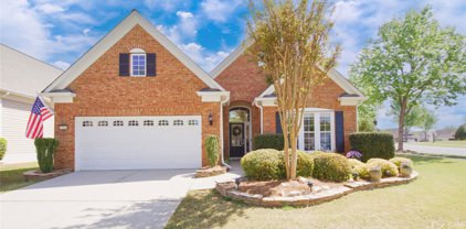 42110 Larkspur  Court, Indian Land