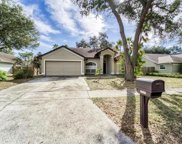 12219 Shady Forest Drive, Riverview image