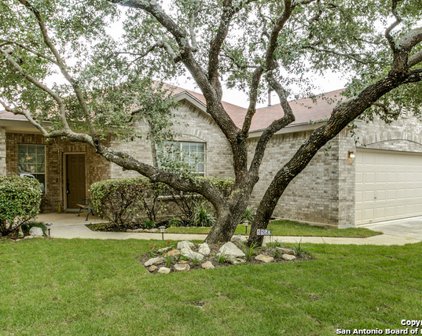 8850 Feather Trail, Helotes