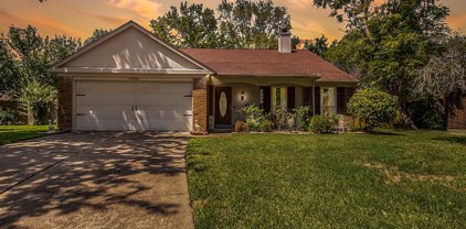 4006 Spring Brook Court, Pearland