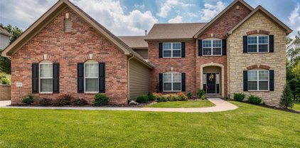 12552 Grandview Forest  Drive, St Louis