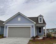 1400 Littleleaf Loop, North Myrtle Beach image