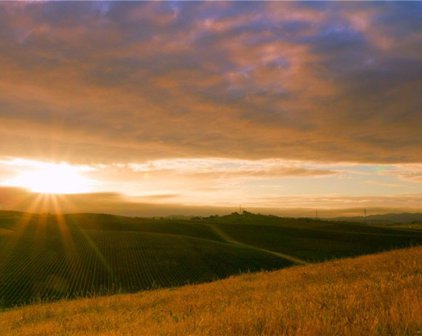 3610 Michele Circle, Paso Robles
