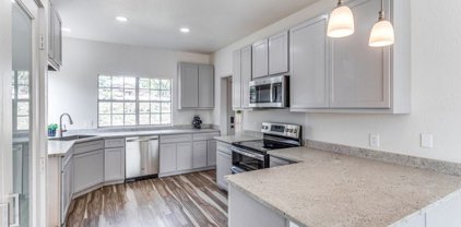 26234 High Timber Pass St, San Antonio
