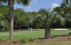 View of practice green at the Shipyard Golf Club in Hilton Head Island, SC