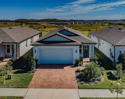 5664 Bay Tide Court, Land O' Lakes