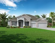 10128 Dolphin Gull Circle, Thonotosassa image