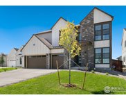 1702 Branching Canopy Dr, Windsor image