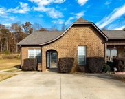 3001 Spruce Cove, Springville image