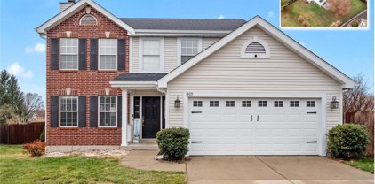 1409 N Smiley, O'Fallon