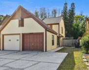 16009 Dawnview Drive, Tampa image